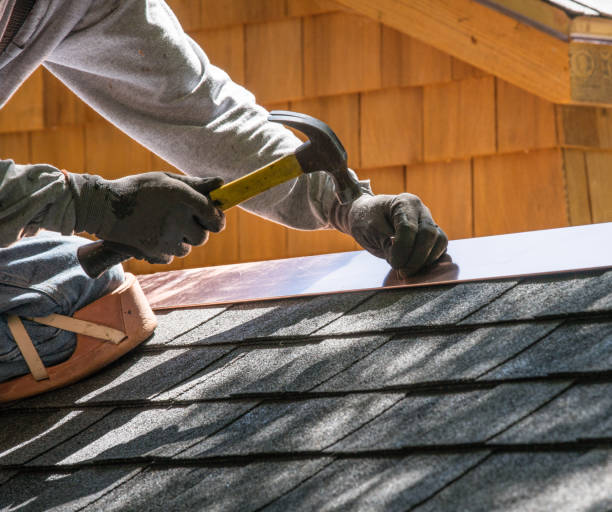 Best Local Roofing Companies  in Manson, IA